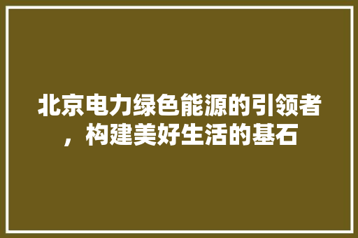 北京电力绿色能源的引领者，构建美好生活的基石