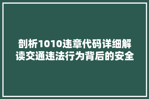 剖析1010违章代码详细解读交通违法行为背后的安全隐患