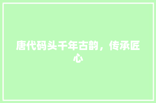 唐代码头千年古韵，传承匠心