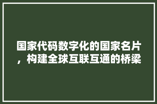 国家代码数字化的国家名片，构建全球互联互通的桥梁