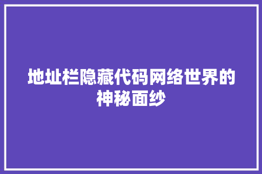 地址栏隐藏代码网络世界的神秘面纱