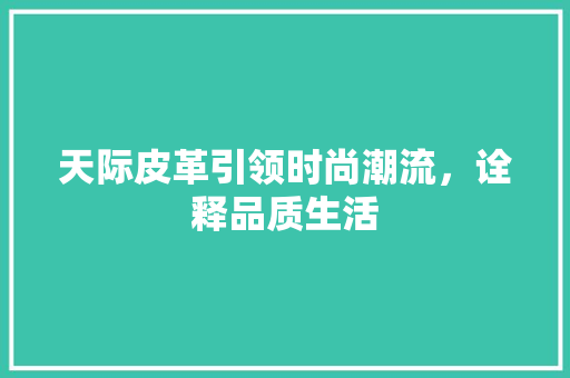 天际皮革引领时尚潮流，诠释品质生活  第1张