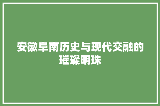 安徽阜南历史与现代交融的璀璨明珠  第1张