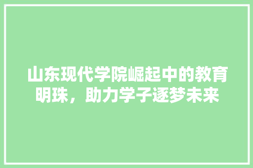 山东现代学院崛起中的教育明珠，助力学子逐梦未来