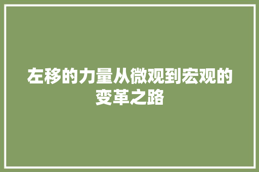 左移的力量从微观到宏观的变革之路  第1张