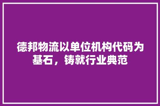 德邦物流以单位机构代码为基石，铸就行业典范  第1张