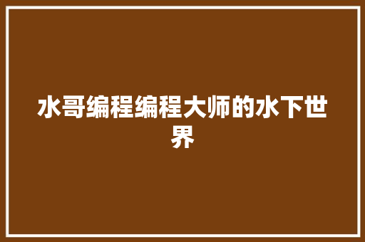 水哥编程编程大师的水下世界  第1张