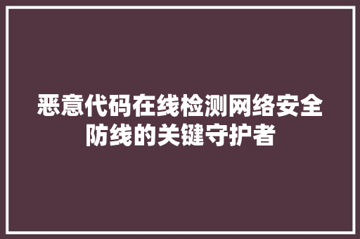 恶意代码在线检测网络安全防线的关键守护者