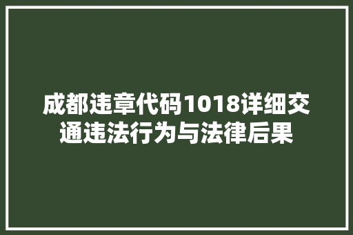 成都违章代码1018详细交通违法行为与法律后果