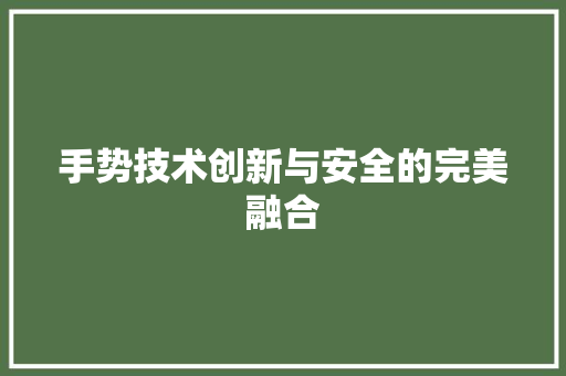 手势技术创新与安全的完美融合