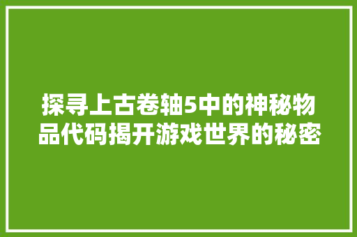 探寻上古卷轴5中的神秘物品代码揭开游戏世界的秘密面纱
