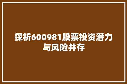 探析600981股票投资潜力与风险并存  第1张