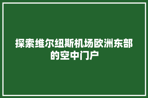 探索维尔纽斯机场欧洲东部的空中门户  第1张