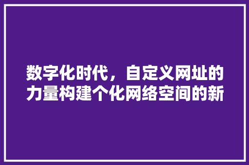 数字化时代，自定义网址的力量构建个化网络空间的新路径