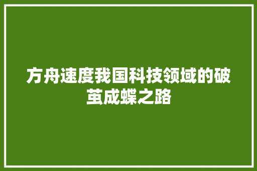 方舟速度我国科技领域的破茧成蝶之路