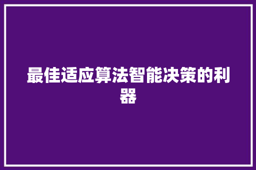最佳适应算法智能决策的利器