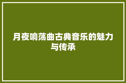 月夜响荡曲古典音乐的魅力与传承