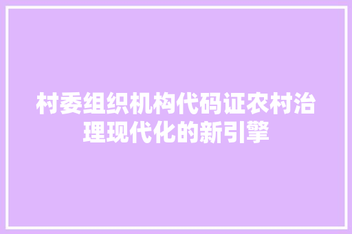 村委组织机构代码证农村治理现代化的新引擎