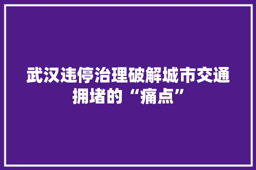 武汉违停治理破解城市交通拥堵的“痛点”