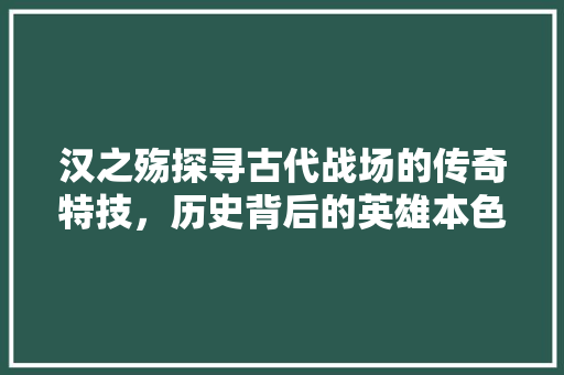 汉之殇探寻古代战场的传奇特技，历史背后的英雄本色
