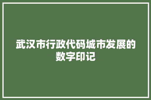 武汉市行政代码城市发展的数字印记