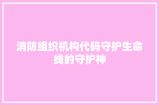 消防组织机构代码守护生命线的守护神
