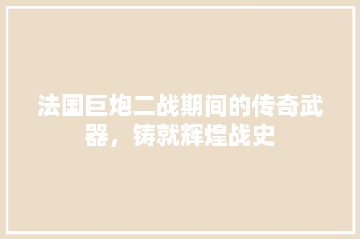 法国巨炮二战期间的传奇武器，铸就辉煌战史