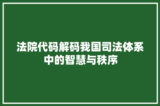 法院代码解码我国司法体系中的智慧与秩序  第1张