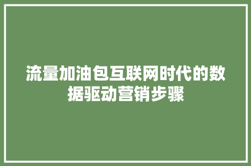 流量加油包互联网时代的数据驱动营销步骤