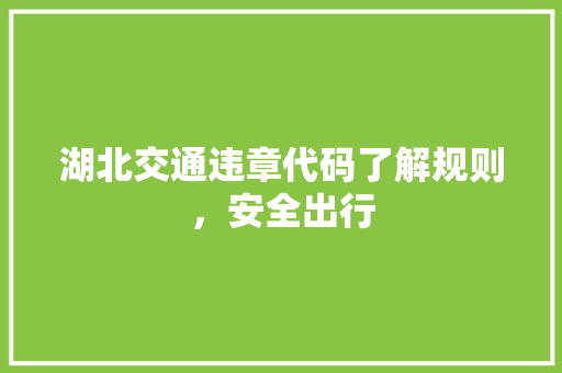 湖北交通违章代码了解规则，安全出行