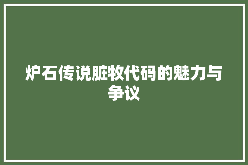 炉石传说脏牧代码的魅力与争议