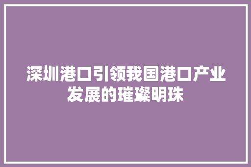 深圳港口引领我国港口产业发展的璀璨明珠