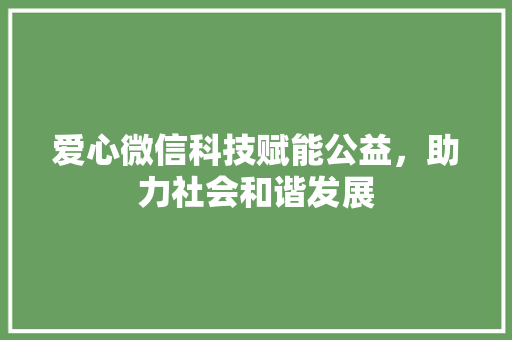 爱心微信科技赋能公益，助力社会和谐发展