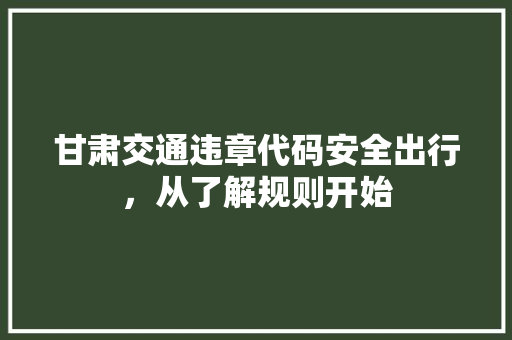 甘肃交通违章代码安全出行，从了解规则开始