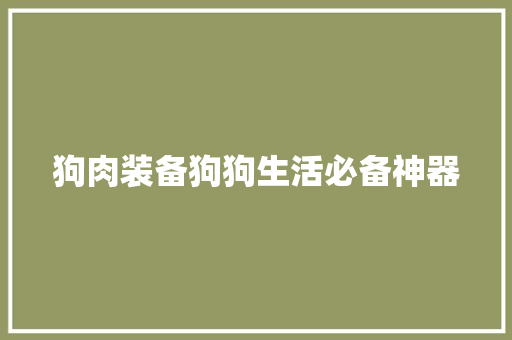 狗肉装备狗狗生活必备神器  第1张