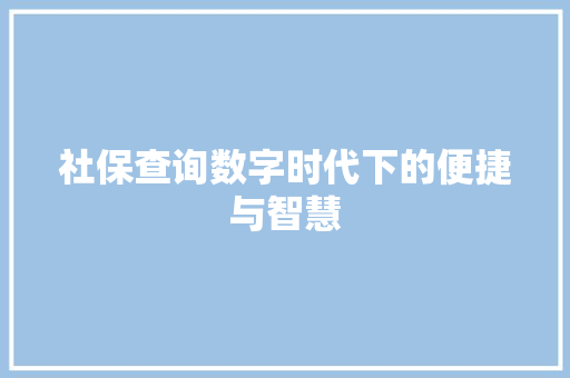 社保查询数字时代下的便捷与智慧