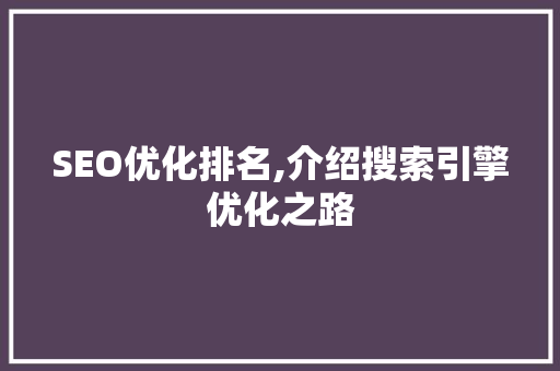 SEO优化排名,介绍搜索引擎优化之路  第1张