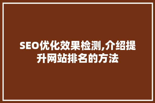 SEO优化效果检测,介绍提升网站排名的方法