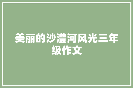 SEO优化注意事项,让搜索引擎青睐你的网站