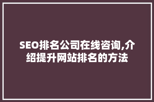 SEO排名公司在线咨询,介绍提升网站排名的方法  第1张