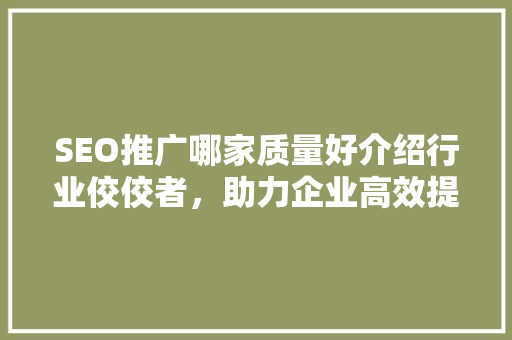 SEO推广哪家质量好介绍行业佼佼者，助力企业高效提升排名
