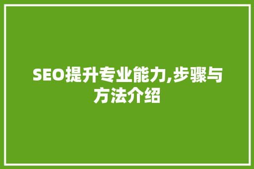 SEO提升专业能力,步骤与方法介绍  第1张