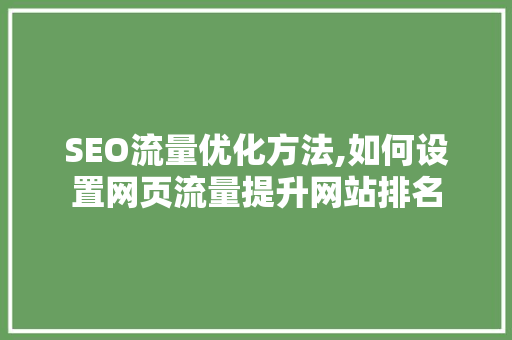SEO流量优化方法,如何设置网页流量提升网站排名  第1张