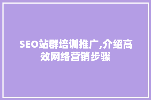 SEO站群培训推广,介绍高效网络营销步骤  第1张