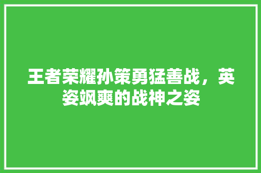 王者荣耀孙策勇猛善战，英姿飒爽的战神之姿