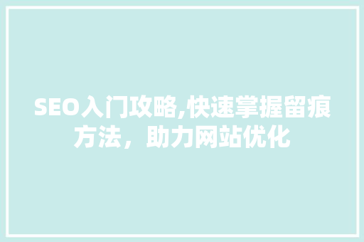 SEO入门攻略,快速掌握留痕方法，助力网站优化