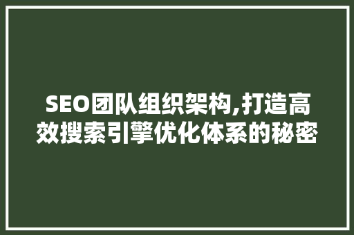 SEO团队组织架构,打造高效搜索引擎优化体系的秘密武器