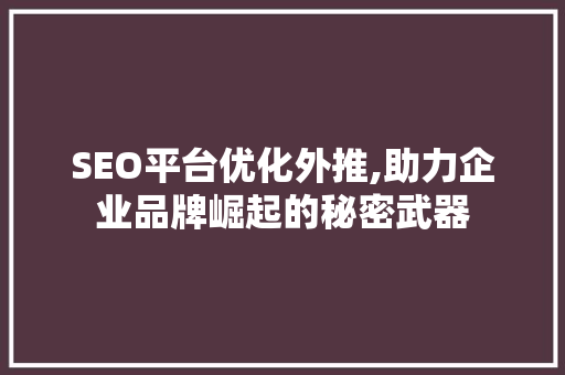 SEO平台优化外推,助力企业品牌崛起的秘密武器