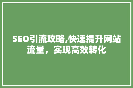 SEO引流攻略,快速提升网站流量，实现高效转化