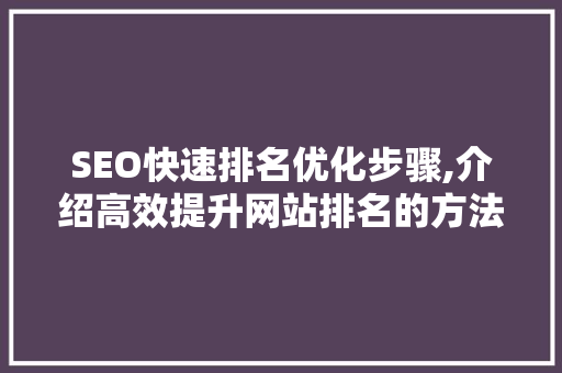 SEO快速排名优化步骤,介绍高效提升网站排名的方法